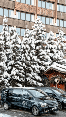 Alpes Hôtel du Pralong